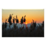 Sunset Photographic Print