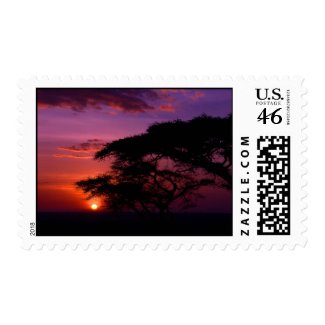 Sunset Postage stamp