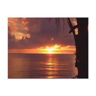Sunset postcard