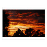 Sunset Postcard