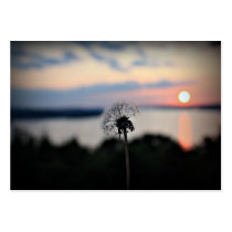 Sunset postcard business card templates