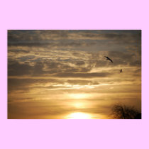 Sunset posters
