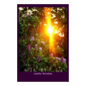 Sunset posters