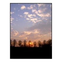 Sunset posters