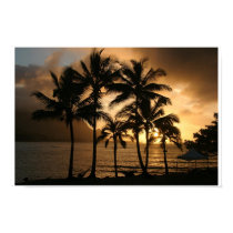Sunset posters