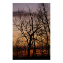 sunset posters by rjsflashfoto sunset posters
