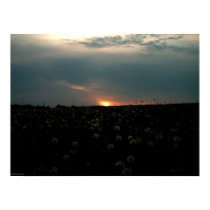 Sunset posters