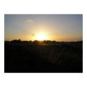 Sunset posters by Johan_den_Hollander Sunset posters