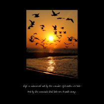 Sunset poster posters
