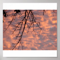 Sunset Poster