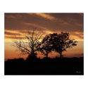 Sunset  - Print