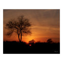 Sunset  - Print