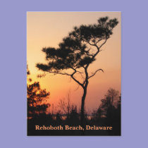 Sunset Rehoboth Postcard by MidnightAkita Sunset Rehoboth Postcard