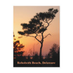 Sunset Rehoboth Postcard