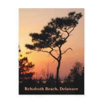 Sunset Rehoboth Postcard by MidnightAkita Sunset Rehoboth Postcard
