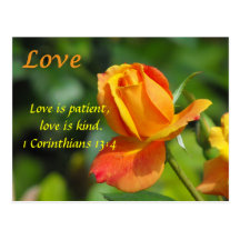 Sunset Rose - Love Post Card