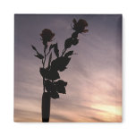 Sunset Rose Refrigerator Magnet