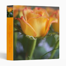 Sunset Rose Vinyl Binder