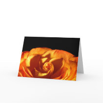 Sunset Rose Wedding Invitation Card