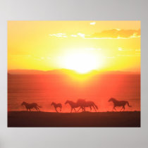 Sunset Run posters