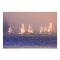 Sunset Sailboats Photo
