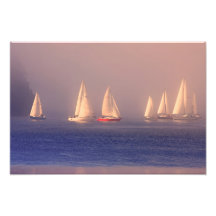 Sunset Sailboats Photo