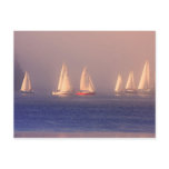 Sunset Sailboats Photo Postcards