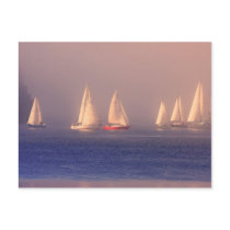 Sunset Sailboats Photo Postcards