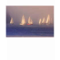 Sunset Sailboats Photo Tee Shirt
