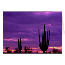 Sunset, Scottsdale, Arizona Greeting Cards