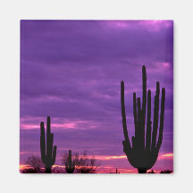 Sunset, Scottsdale, Arizona Magnet