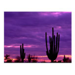 Sunset, Scottsdale, Arizona Postcards