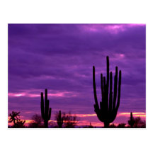 Sunset, Scottsdale, Arizona Postcards