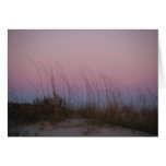 Sunset Sea at Sullivan's Island, SC Greeting Cards
