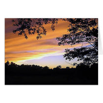 Sunset silence cards by if_theres_a Sunset silence cards