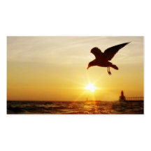 sunset silhouette business card