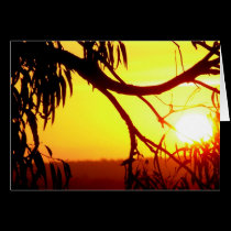 Sunset Silhouette Views Card cards