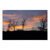 Sunset Sillouette posters