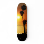 Sunset skateboards