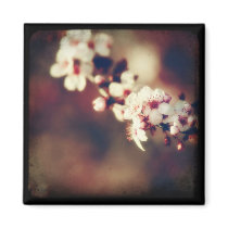 "Sunset Soaking" Magnet by starlingphotos "Sunset Soaking" Magnet