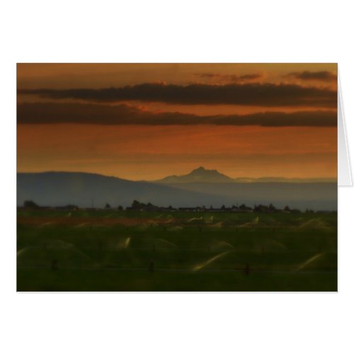 sunset sprinkers #2 card
