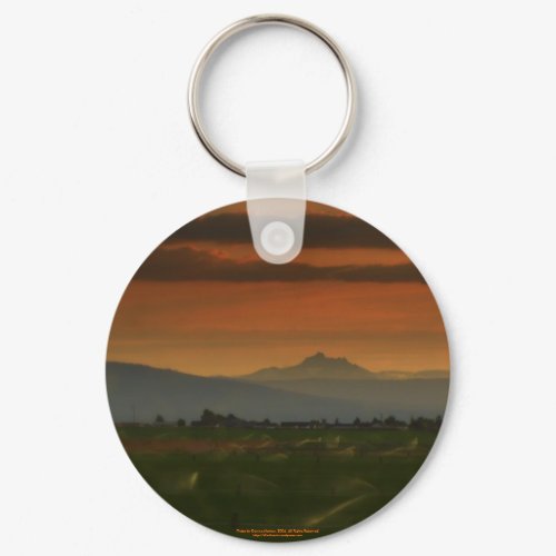 sunset sprinkers #2 keychain