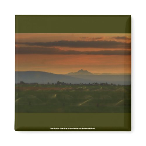 sunset sprinkers #2 magnet