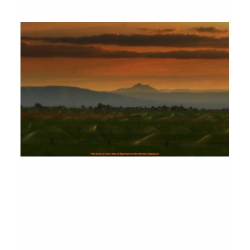 sunset sprinkers #2 shirt