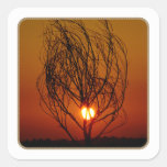 Sunset  - square sticker