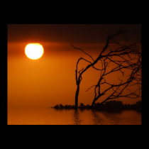 sunset sun silhouette Poster posters