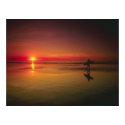 Sunset Surfer by TDGallery posters