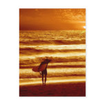 surfer, surf, orange, dramatic, water, ocean,