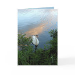 Sunset Swan Card
