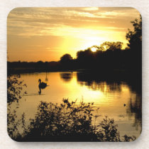 Sunset Swan Lake orange yellow Coaster